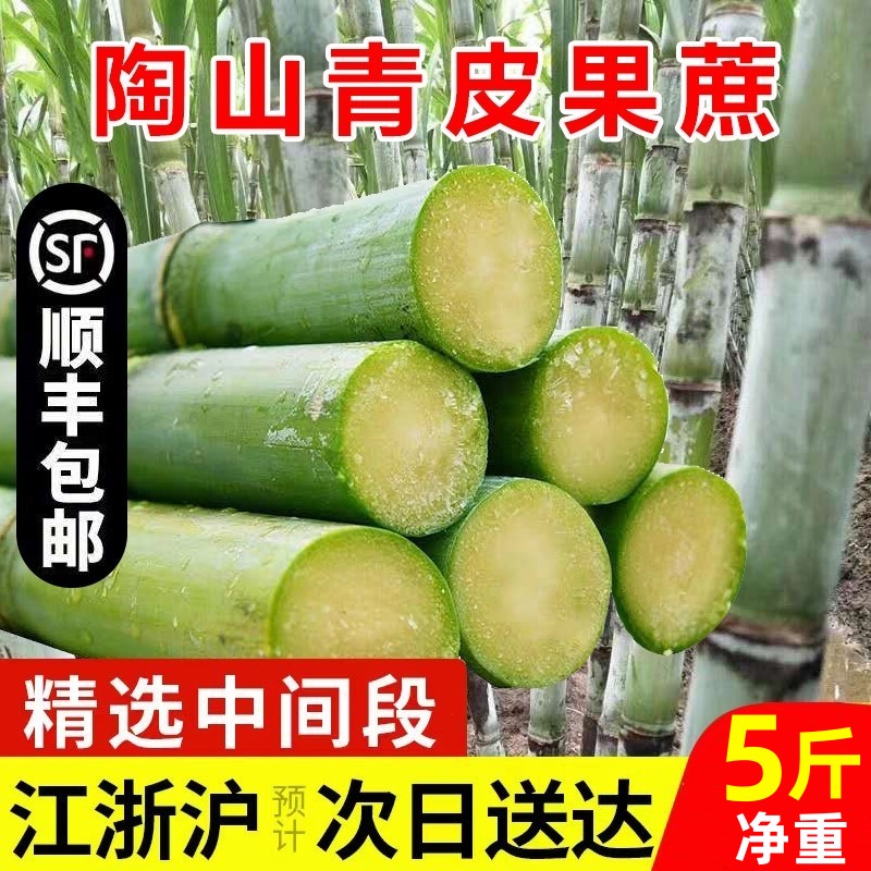 Shun Feng Tao Shan Cane Fresh Green Leather Green Leather Sugarcane Now Chop Pregnant Woman Fresh Fruit Should Season Full Box Crisp Sweet Fruit Cane-Taobao