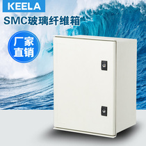 Outdoor distribution box Waterproof plastic shell surface mounted outdoor engineering low voltage SMC glass fiber waterproof box