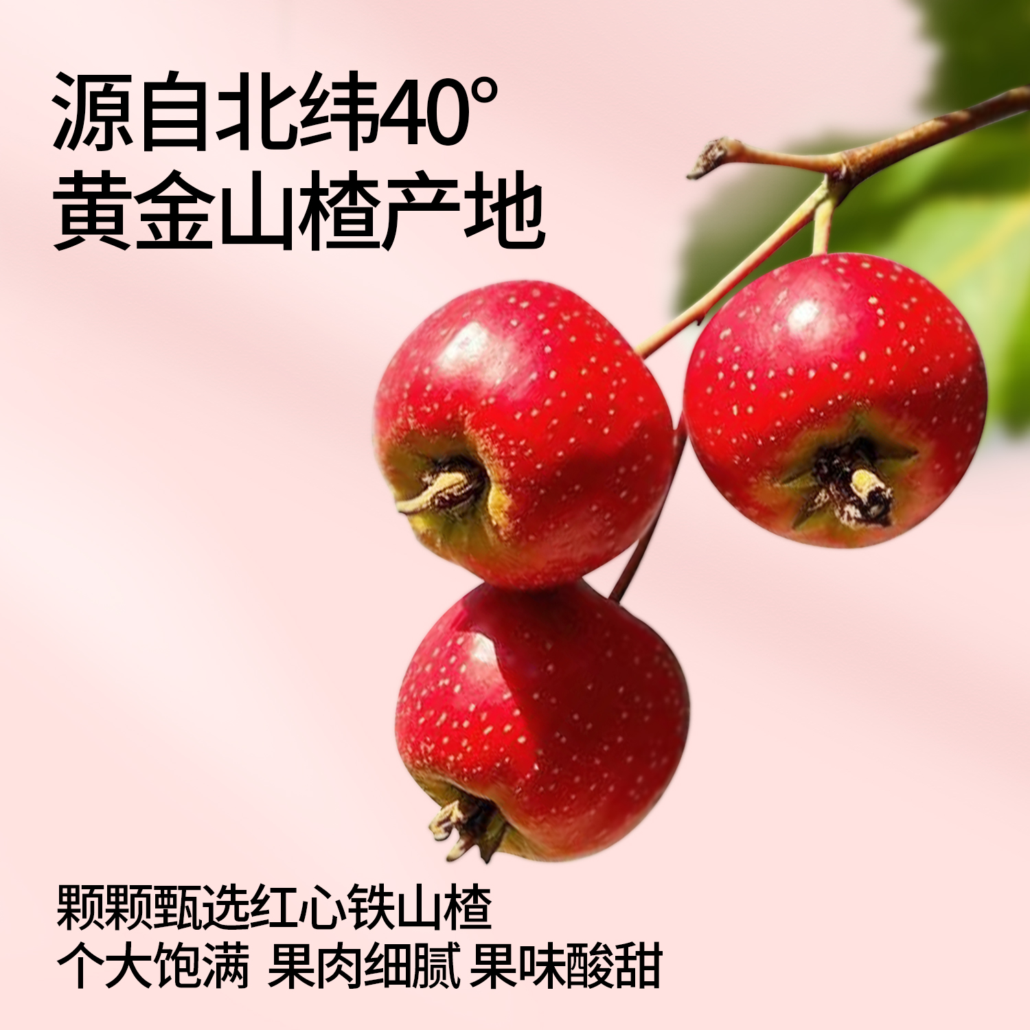 奶酪博士山楂棒：酸甜好味，宝宝零食新宠儿！