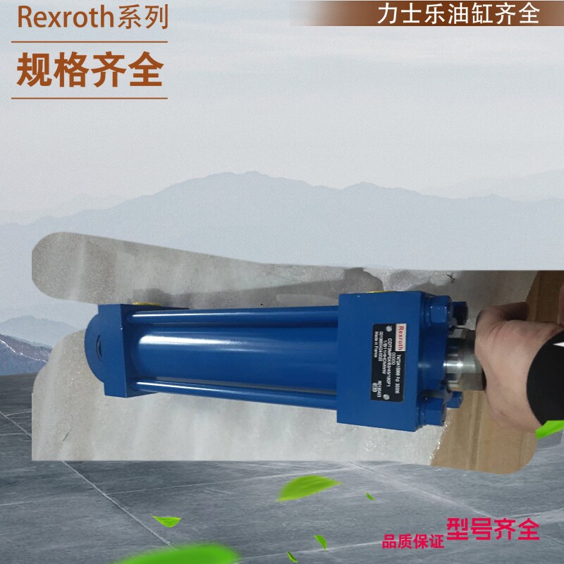 Richle cylinder hydraulic cylinder CDT3MP5 50 22 200Z1X B1ChUMWW Germany Rexroth cylinder