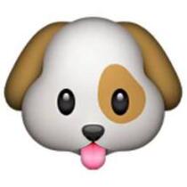 Supplementary postage · special 1 yuan link for price difference (how much is the difference)