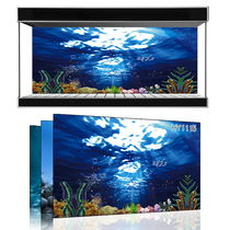 Beauty pet exhibition custom fish tank background Ocean Underwater World one rice sunshine sea fish tank mural HY1115