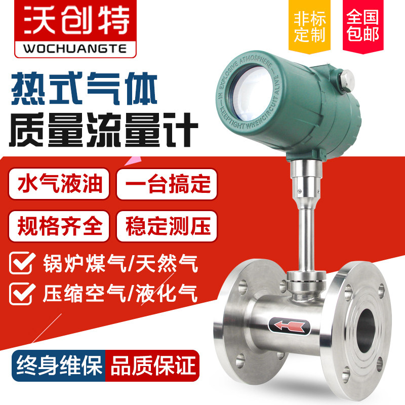 Heat gas mass flow meter micro flow pipeline insertion coal biogas gas gas gas air flow meter
