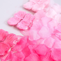 Emulation Rose Petals Birthday Table White Adornment Hand Sprinklers Valentines Day courseage Marriage Made Romantic Sue White Wedding House