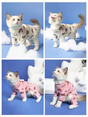 Kitten cat clothes ins muppet cat British short cat cat anti-hair loss four-legged clothes hairless cat kitten thin summer