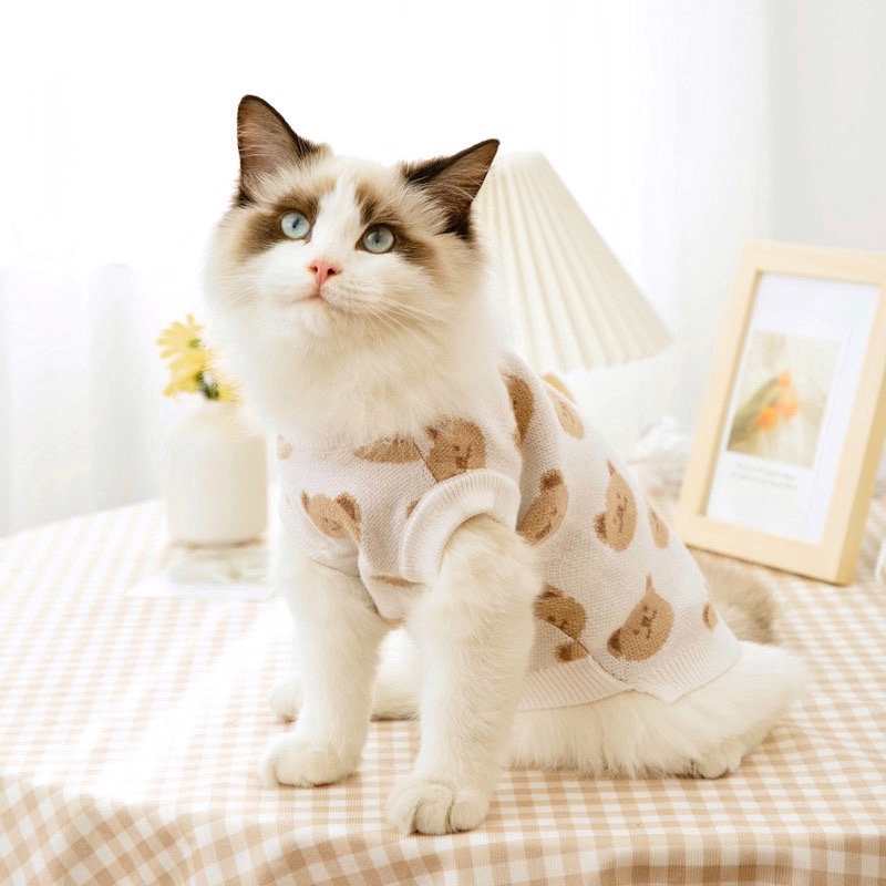 Cat Clothing Winter Clothing Warm And Cute Autumn Winter Pets Little Bear Sweater Cat Cat Kitty Kitty puppies Teddy