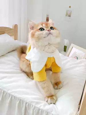 2021 new pet cat clothes blue cat muppet cat summer petal collar cat clothes thin spring clothes anti-hair loss