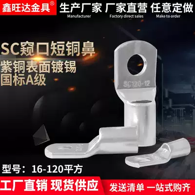SC peek short copper terminal block tin plating 6 10 16 25 35 70 copper wire lug copper pipe nose terminal thickness