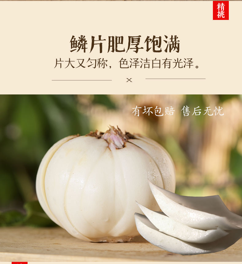 兰州鲜百合甘肃特产500g