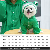Rainwear Green лягушка Четыре