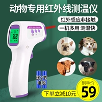 Электронный ушной термометр с животными, измерение температуры