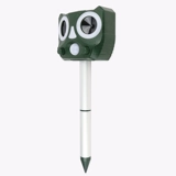 Собачья артефакт с высокой силой ультразвуковой ультразвук на открытом воздухе на открытом воздухе на открытом воздухе на открытом воздухе на открытом воздухе.