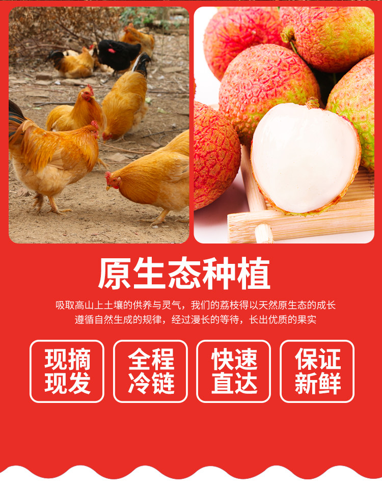 兴旺好  广东现摘妃子笑荔枝 5斤 图6