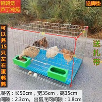 Quail special cage quail cage small cage square cage home breeding quail cage egg cage automatic egg cage