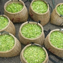 Basket of tea picking basket of tea picking basket plastic bamboo buying vegetable farmer with large basket collection basket manually thicked