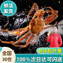 (sub-zhda) Russian live pine-leaf crab-board crab long-footed crab seafood extra-large crab Non-imperial crab