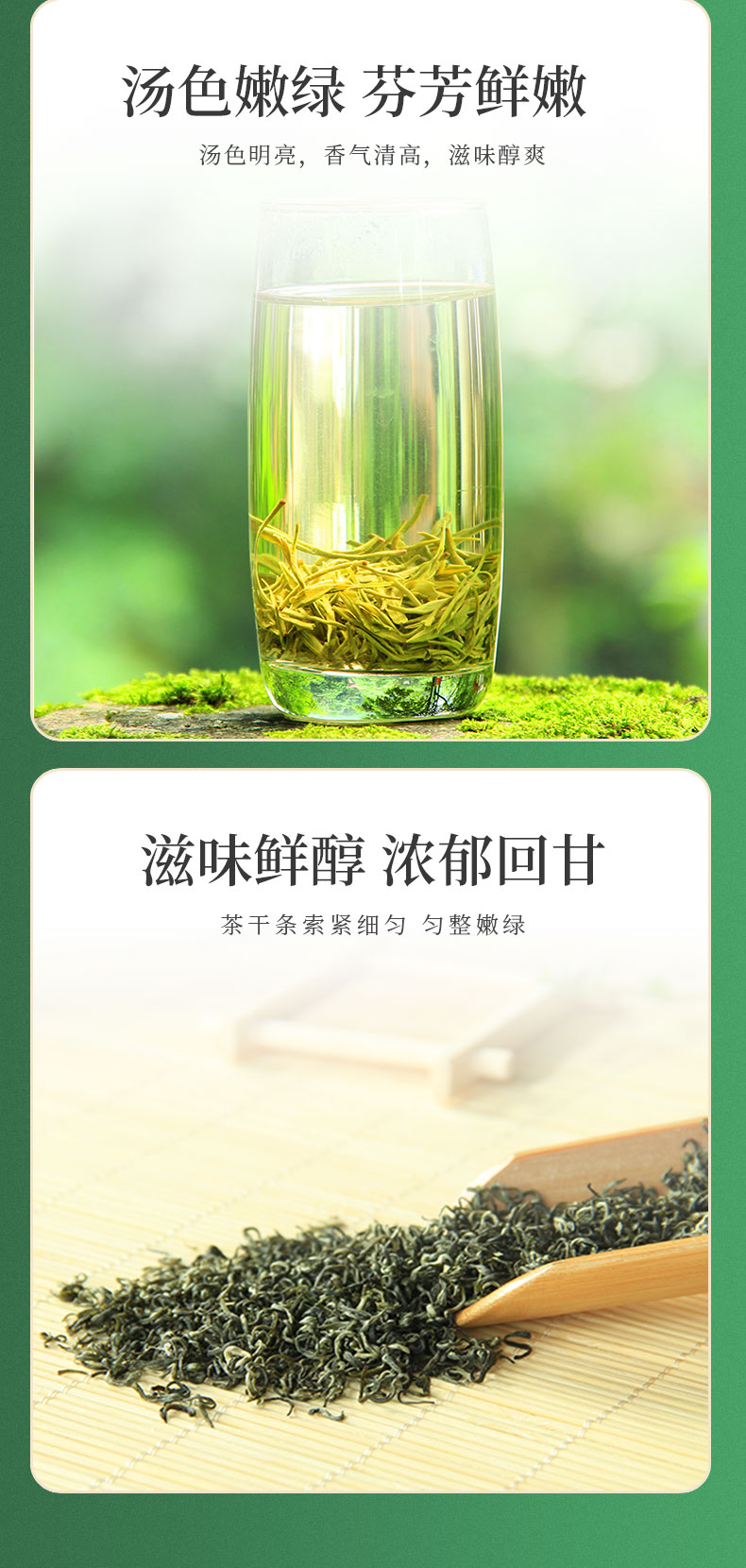 雾本 20新茶 蒙顶高山云雾绿茶 100g/罐 图4