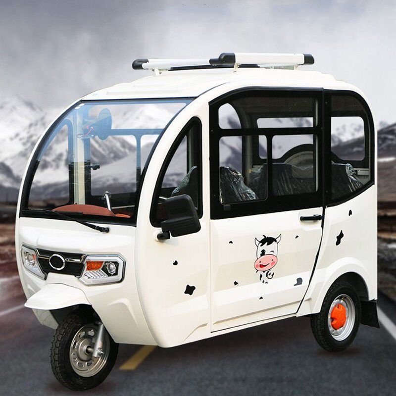 Electric tricycle fully enclosed with fluffy adult elderly small household national standard new energy electric car can be on board