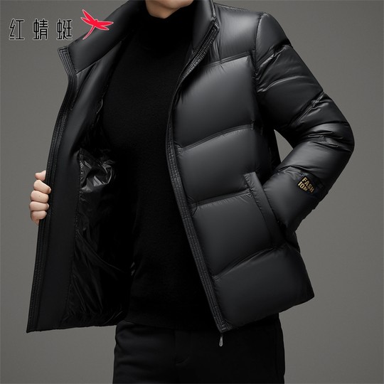 Red Dragonfly Men's down Jacket 2025 Winter New Style Stand Collar Puffer Jacket Casual Thick Short Coat Men's Trendy
