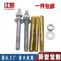 National standard chemical anchor bolt hot dip galvanized chemical bolt carbon steel hot dip galvanized chemical screw M8M12M16M24M20