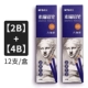2b+4b коробка из 24 ветвей всего 24