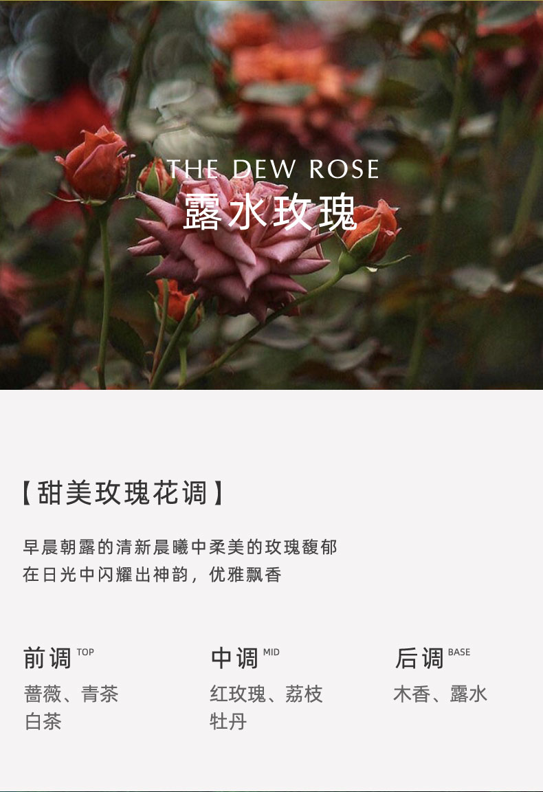 日照金山香薰礼品扩香石摆件装饰灯伴手礼礼盒室内无火代发香氛详情11