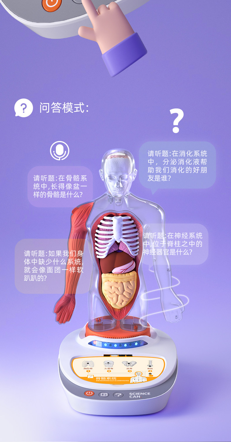 【中国直邮】Science can科学罐头 人体解剖模型器官可拆卸儿童教学玩具我们的身体语音百科
