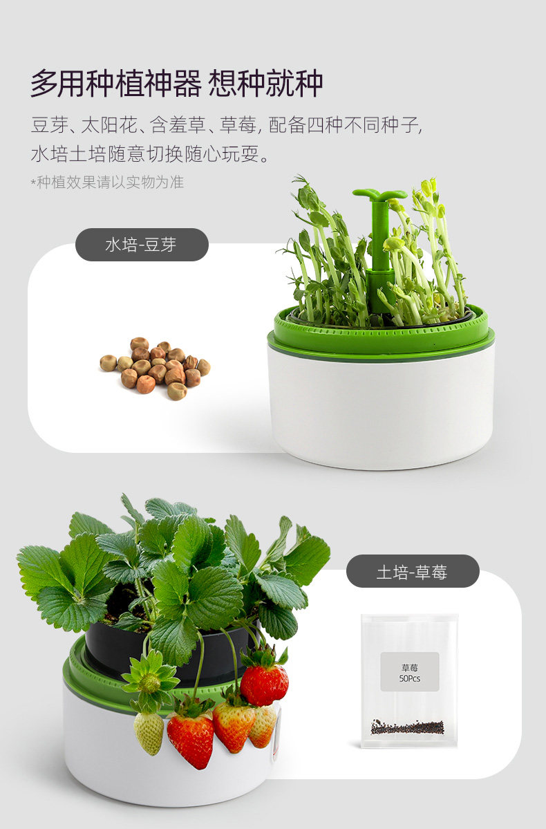 【中國直郵】Science can科學罐頭 孟德爾培育艙兒童種植小盆栽迷你立體植物盆觀察盒