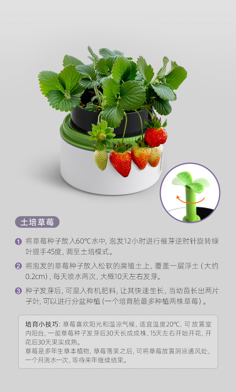 【中國直郵】Science can科學罐頭 孟德爾培育艙兒童種植小盆栽迷你立體植物盆觀察盒