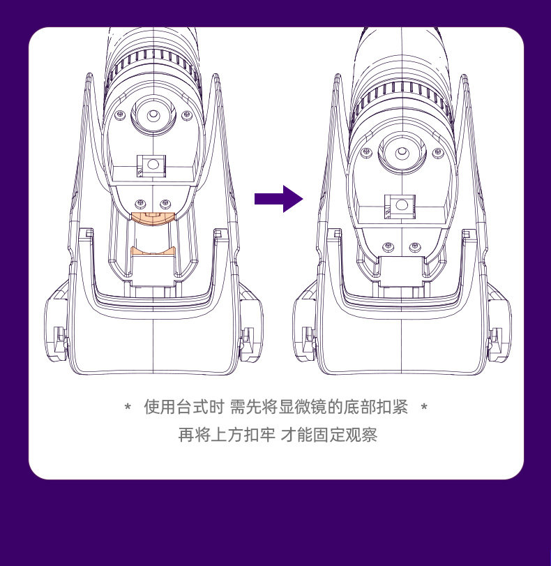 【中国直邮】Science can科学罐头 达尔文便携式显微镜 儿童户外探索观察(标本片*12)