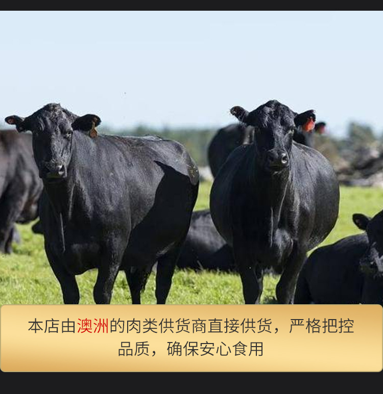 澳洲进口 源煌 肉眼/菲力/西冷 原切牛排套餐 10片共1410g 图5