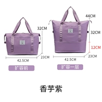 47L Taro Purple [Multi -Cocket Edition]