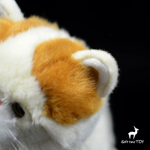 Самообслуживание шоппинга без клиентов по обслуживанию экзотическая короткошерстная плюшевая плюшевая игрушка с короткошерстной куклой персидской кошки