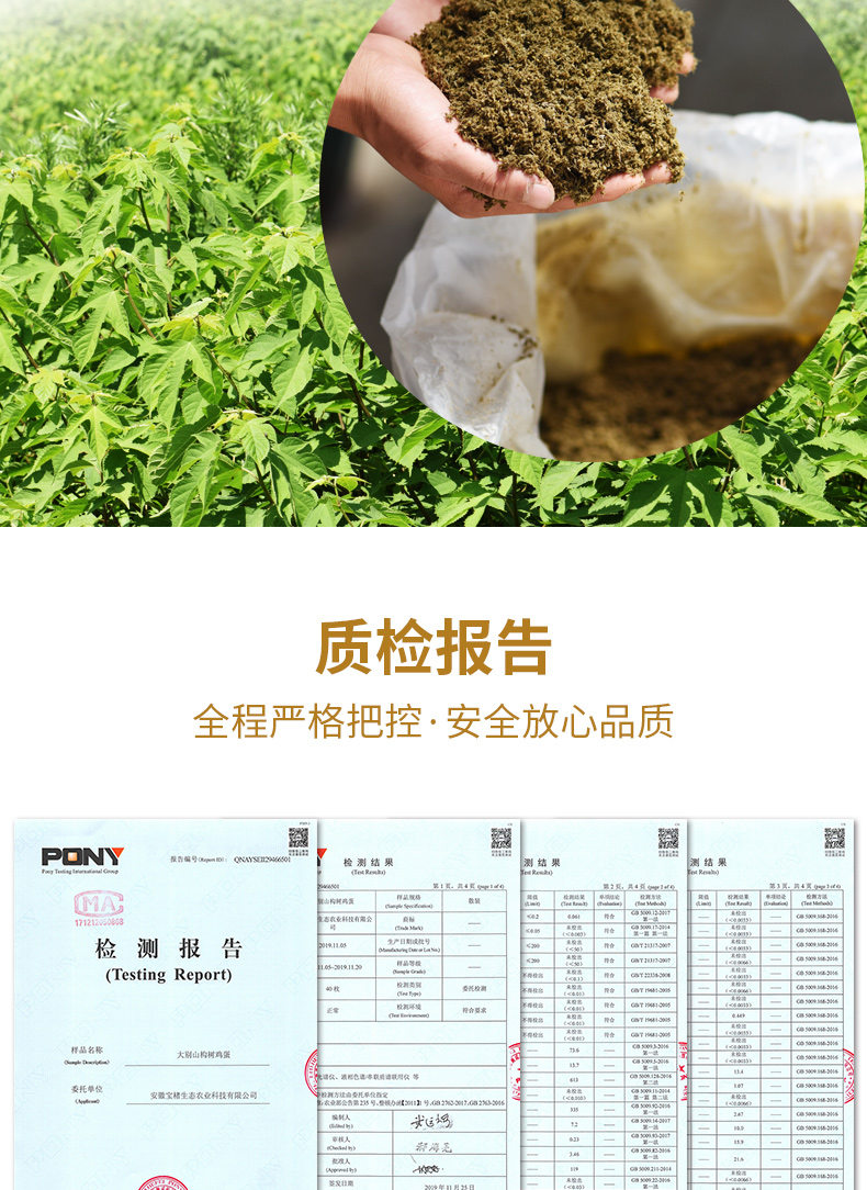 40枚无菌土鸡蛋初生蛋大别山农家蛋