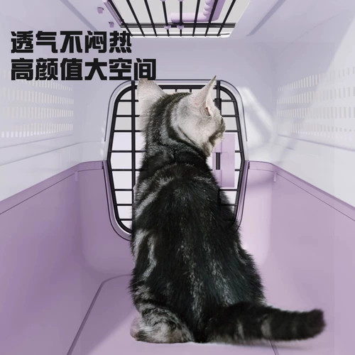 Pet Air Box Cat Special Air China Box Cage Cage выходит из портативной кошки -мешок Care Cage Small Dog