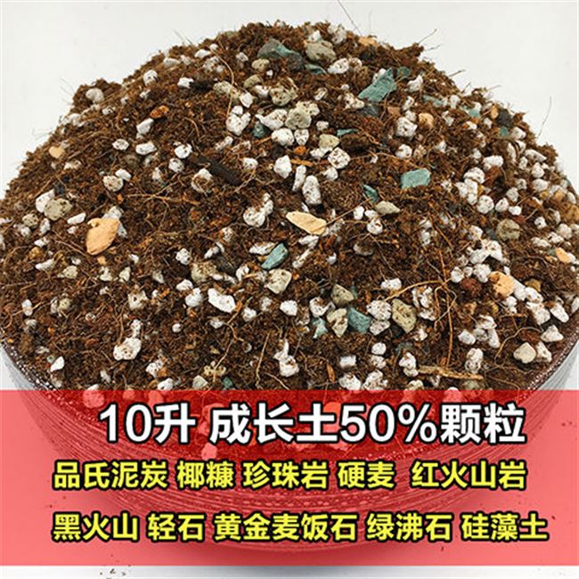 Vật tư thủy canh cây xanh làm vườn 5 kg khoảng 9 lít đá rỗng xi măng lát nền đá đáy mọng nước chống thối rễ - Nguồn cung cấp vườn