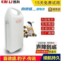 Kaili Power Xidesheng lithium battery 48v10AH electric car Leopard 2C3C4C5C legend 1S2S5S battery