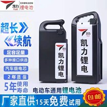 Emma Taiwan bell Yadi Xinri electric bicycle 36V48V10ah12A15ah lithium battery Phil lithium battery