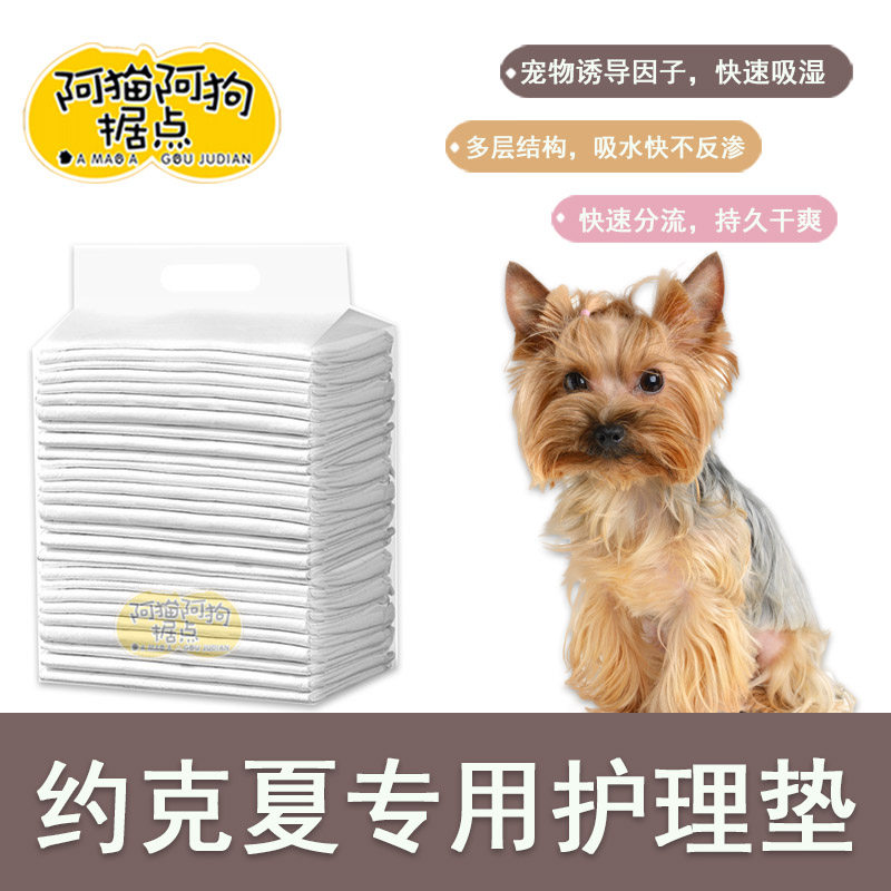 Yorkshire dog deodorized dog for Yorkshire deodorium pest production of anti-urine pads