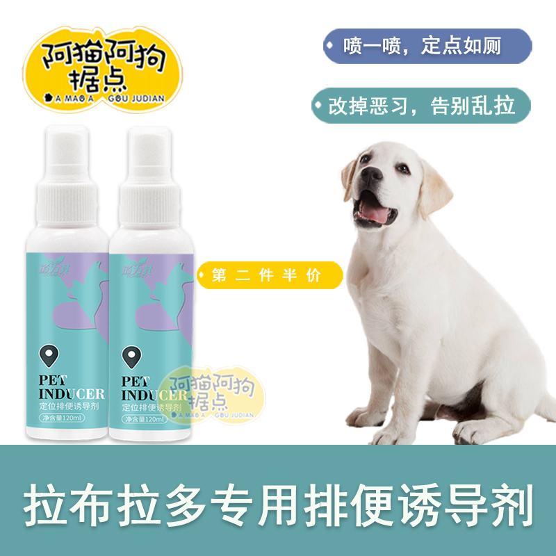 Labrador dedicated pet pooch Pinpoint Defecator guides large canines urinating on toilet inducers