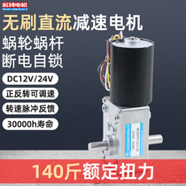 Double-out shaft non-brush DC slowdown motor 12v24v snail pole 5840-3650 micro-small speed motor