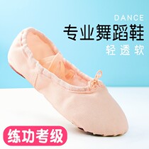 Childrens dance shoes toddler adult professional soft-soled shoes girls cat claw canvas flat female exam ballet shoes