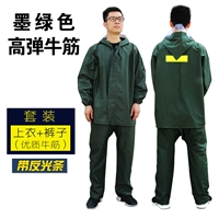 Cort -green High Bomb Zipper [Set]