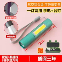 Tiffi Blue Band Light Model