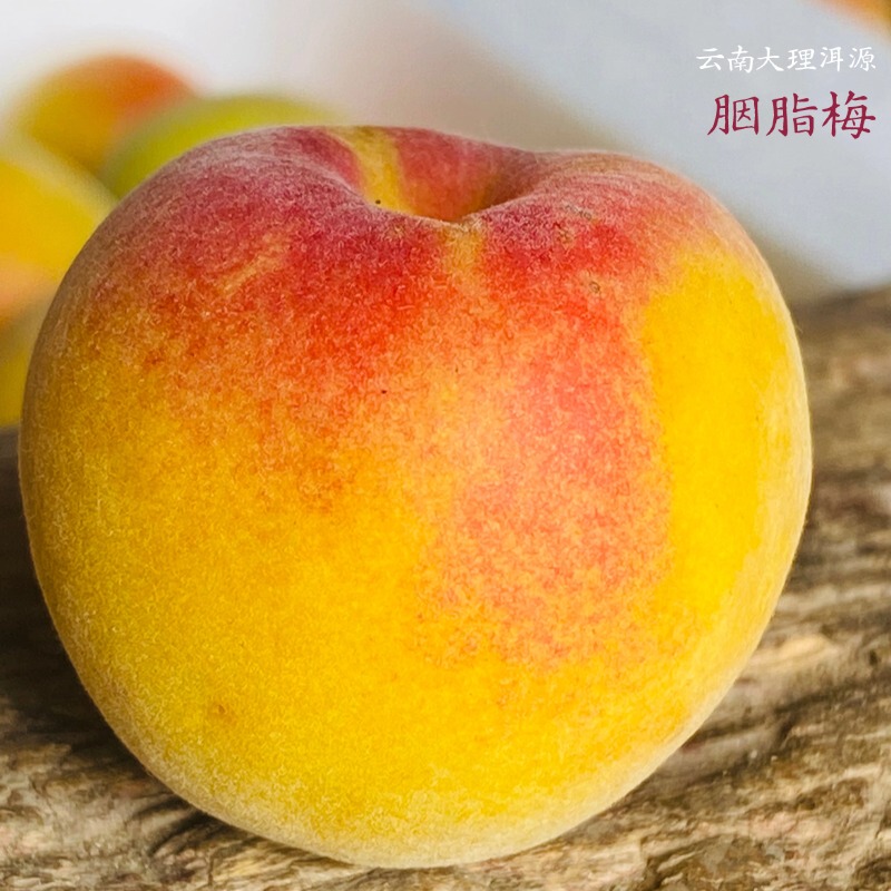 Xiangyue Meike Yunnan Dali Er Yuan High Mountain Fresh Fruits: Red Plum, Green Plum, Yellow Plum, Ancient Salt Plum