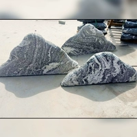 Группа снежных волн