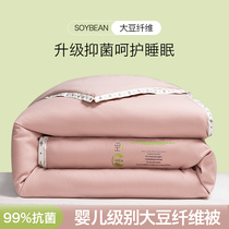 Soybean fiber quilt winter is heated by winter warm core 10 kg double spring and autumn is common in four seasons