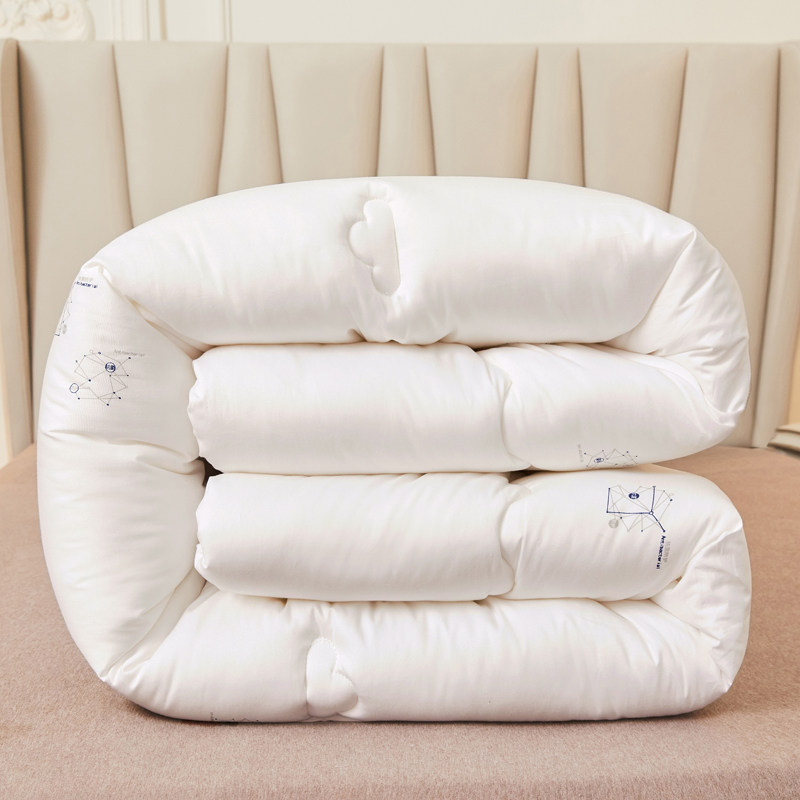 Silver ion pure cotton winter quilt winter quilt thickened warm cotton winter double household space quilt quilt core