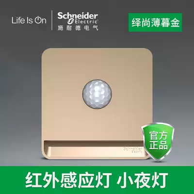 Schneider still golden induction footlamp wake up night light plug-in infrared human body induction LED night light