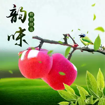 New real sand fruit dried Inner Mongolia specialty 500g seedless pulp non-Crabapple dry sweet and sour snack snacks